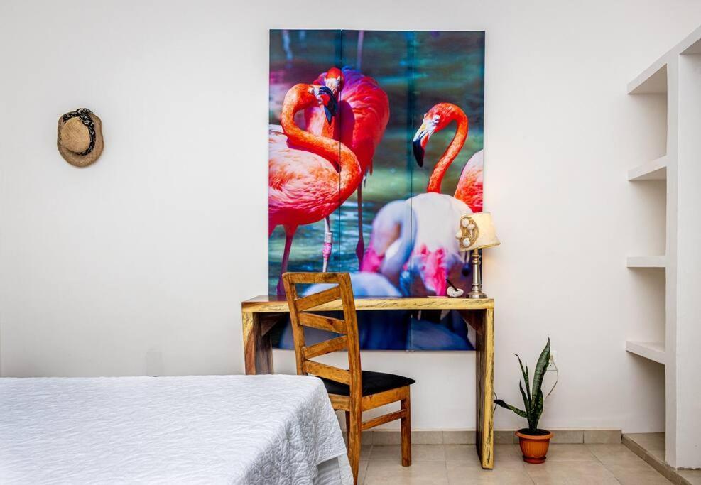 Oceanfront Casita Coral Διαμέρισμα Chelem Εξωτερικό φωτογραφία